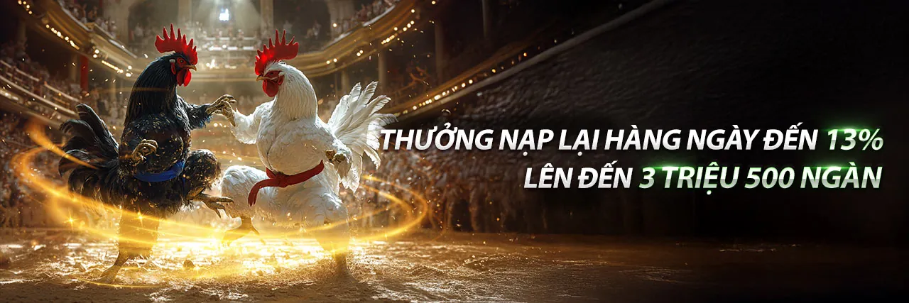 Đá gà cựa dao trực tiếp tại đấu trường Việt
